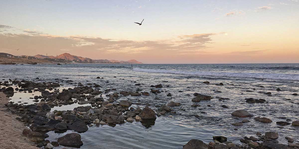 El Tule Beach gallery 1
