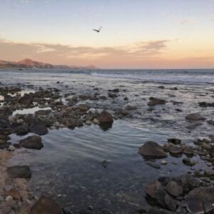 El Tule Beach gallery 5