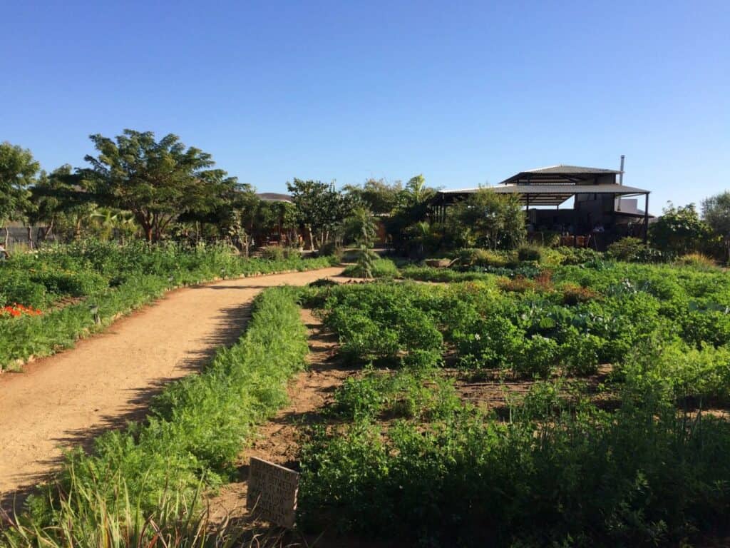 The garden path at Hierbabuena in El Pescadero