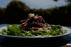 Fresh garden salad of just-picked greens topped with pickled radish, seeds and crumbled cheese