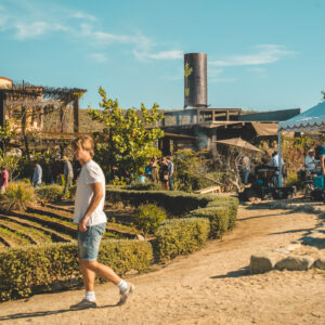 Manicured garden grounds and pathways with guests walking among the beds, water tower in the background