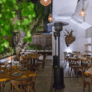 Interior dining area with hanging lamps and plants