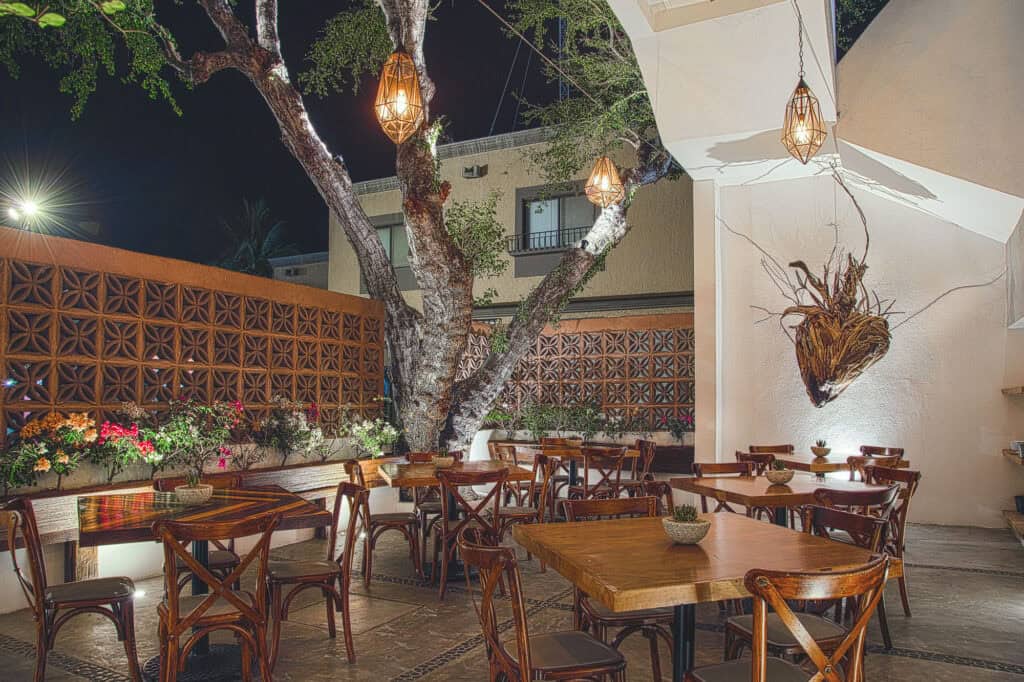 Candlelit courtyard terrace set around the central tree