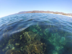 Bahia de los Suenos gallery 5