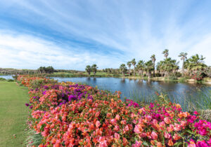 Par-3 hole at Oasis Short Course at Diamante