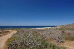 Playa La Curva gallery 4