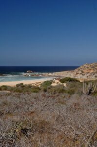 Playa La Curva gallery 2