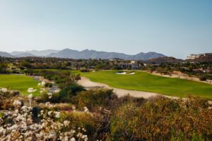 Palmilla Golf Club course framed by the Sierra de la Laguna