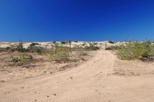 Playa Pozo Cota gallery 2
