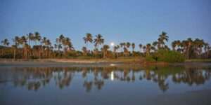 San Pedro Beach gallery 1