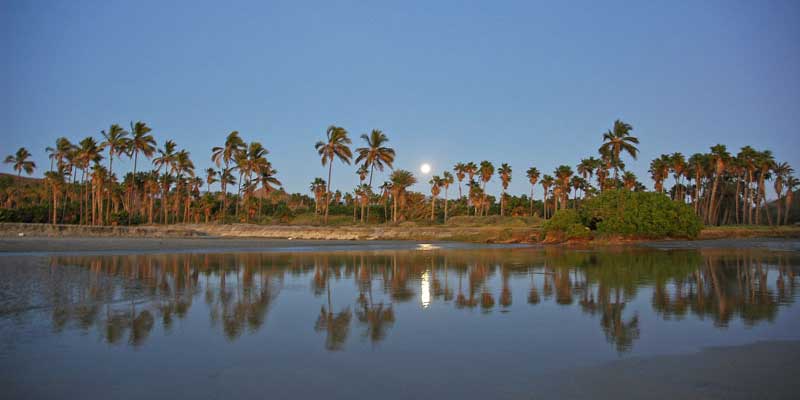 San Pedro Beach gallery 1