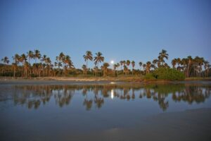 San Pedro Beach gallery 2