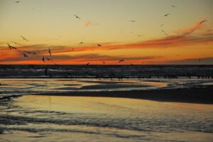San Pedro Beach gallery 6