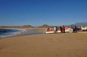 Playa Punta Lobos gallery 1