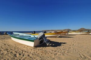 Playa Punta Lobos gallery 3