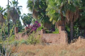 San Pedro Beach gallery 4