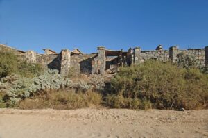 Playa Punta Lobos gallery 4