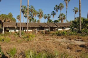 San Pedrito Beach gallery 3