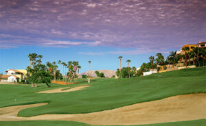 Golf course grounds at Vidanta Los Cabos