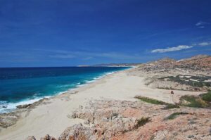 Westin Beach gallery 2