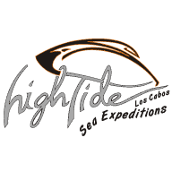 Tripadvisor Travellers Choice award for High Tide Sea Expeditions