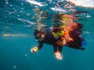 Two Cabo Trek guests snorkeling together in clear blue water