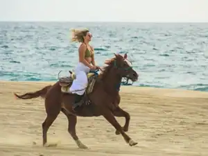 Horseback rider moving along the sand with the Pacific Ocean behind her