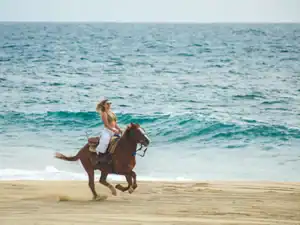 Cactus Tours guest riding a horse beside the Pacific surf in Migriño