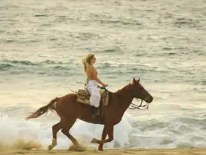 Guest on horseback at the edge of the Pacific beach during the desert and sea ride