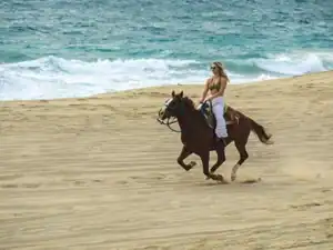 Horse and rider crossing a sandy dune above the Pacific shoreline