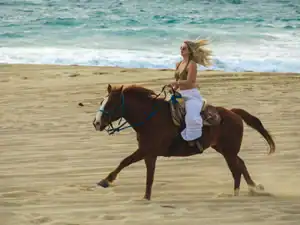Close view of a Cactus Tours horseback rider on the Migriño beach route