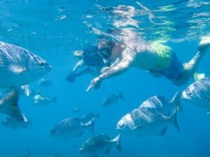Small group preparing for a guided snorkeling session in Los Cabos