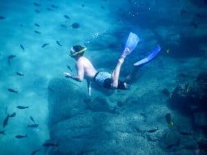 Cabo Expeditions guests snorkeling in clear Sea of Cortez water