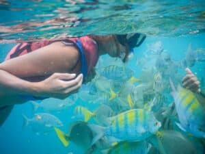 Beach and coastal scenery on the Beach Hopper Snorkel Tour