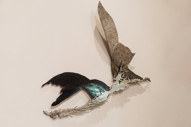 Whale tail sculpture mounted on a white gallery wall in San José del Cabo