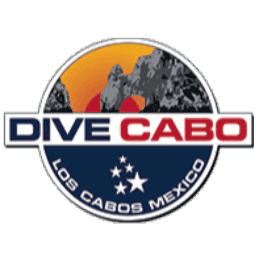 Tripadvisor Travellers Choice award for Dive Cabo