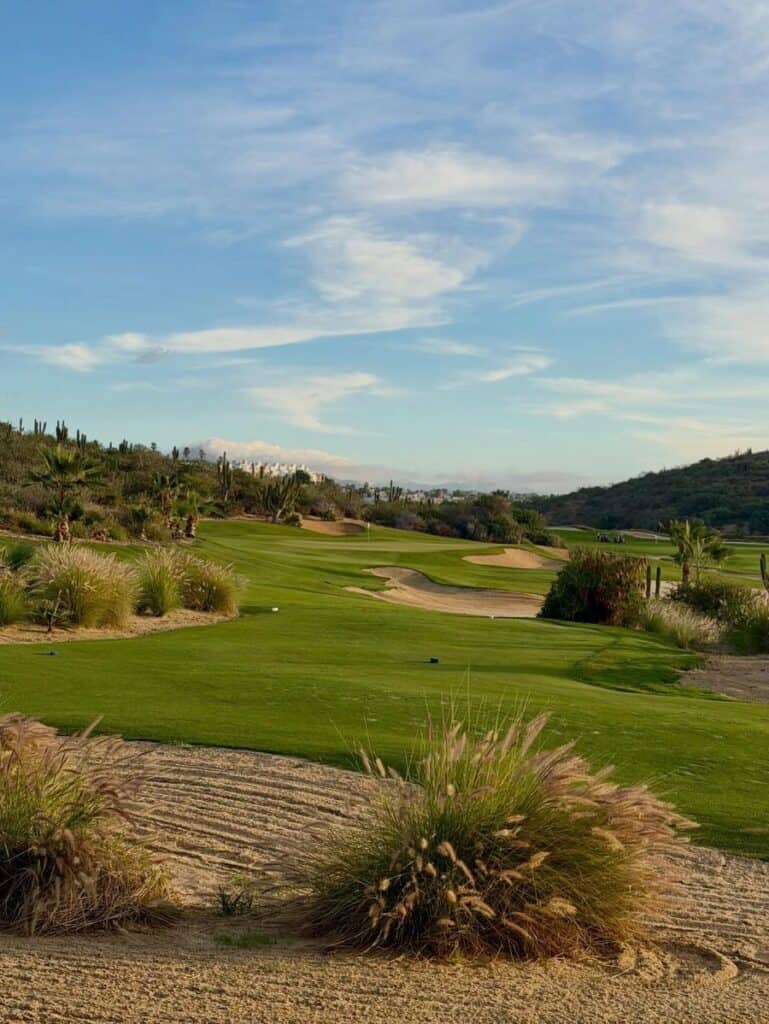 Desert grass in the foreground with a Los Cabos fairway running behind it