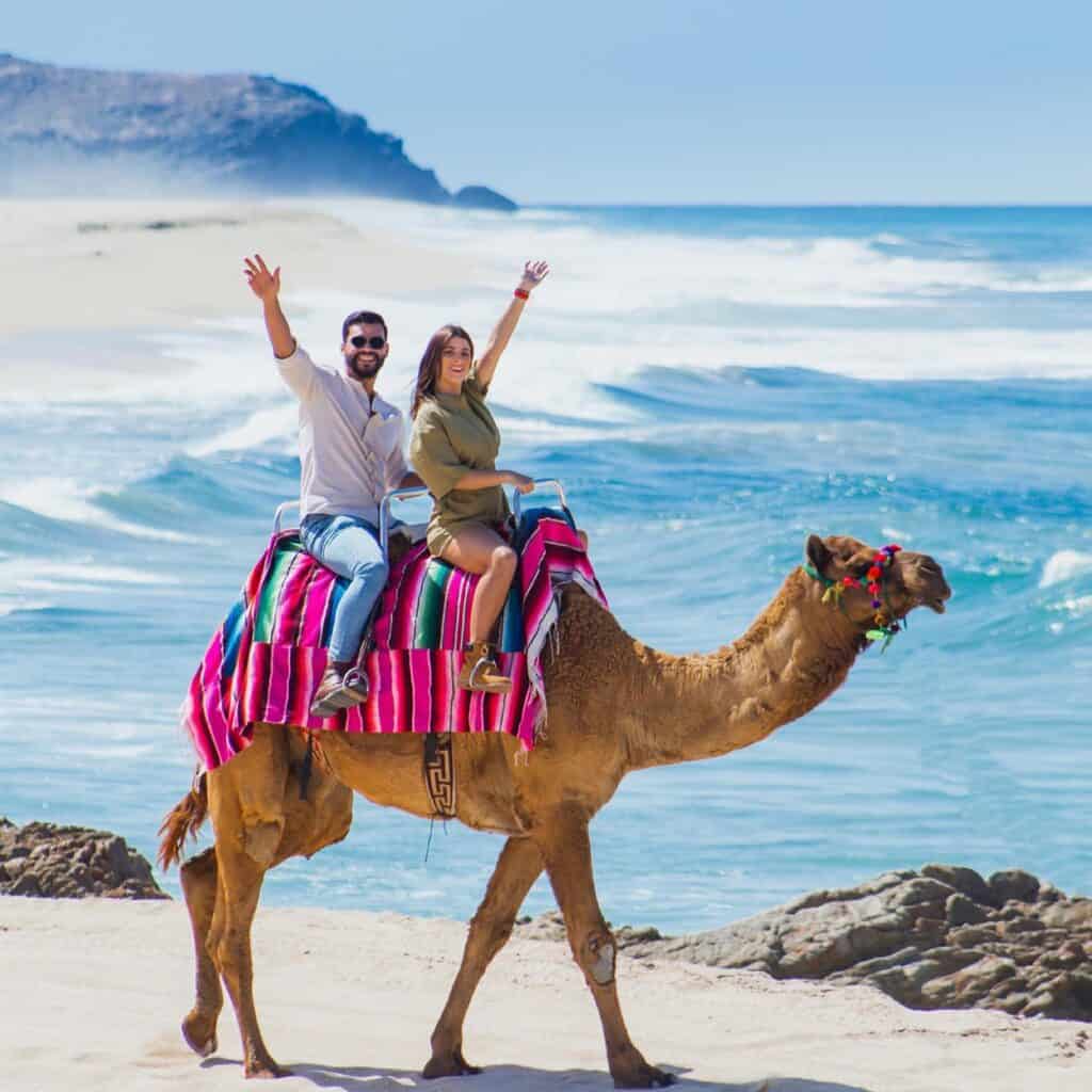 A couple riding a camel on the Pacific beach with Cactus Tours.