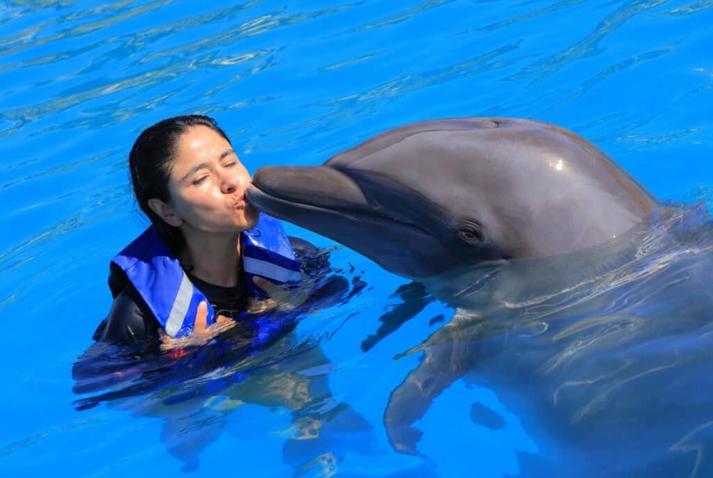 A traveller in a life vest sharing a kiss with a bottlenose dolphin.