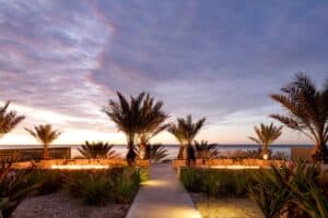 P'yote, the rooftop bar of Café des Artistes Los Cabos, with palms, fire pits and the sea at dusk