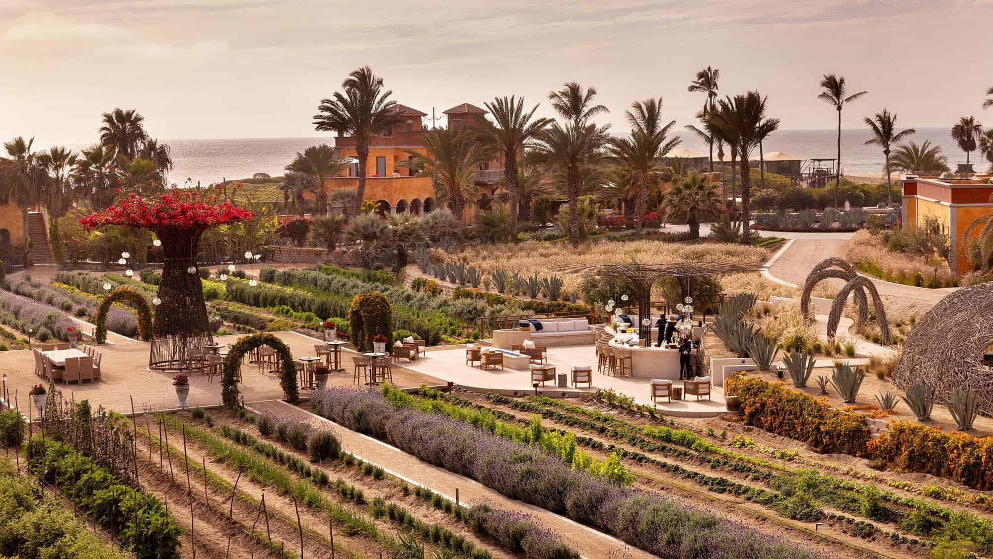 The lounge and bar beside Caracara in the Villa Santa Cruz farm, with a bougainvillea tree sculpture, garden rows, the edge of the woven Nest and the Pacific beyond