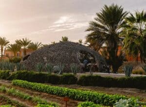 The Nest, Caracara's dining dome of woven branches, seen across the vegetable rows and agave of the hotel farm at sunset