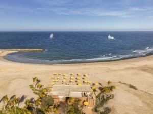 Aerial view of the Delphine pavilion among palms and its yellow umbrellas on the crescent beach at Costa Palmas, with yachts offshore