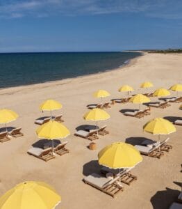 Rows of yellow umbrellas and sunbeds on the white-sand beach at Delphine along the Sea of Cortez