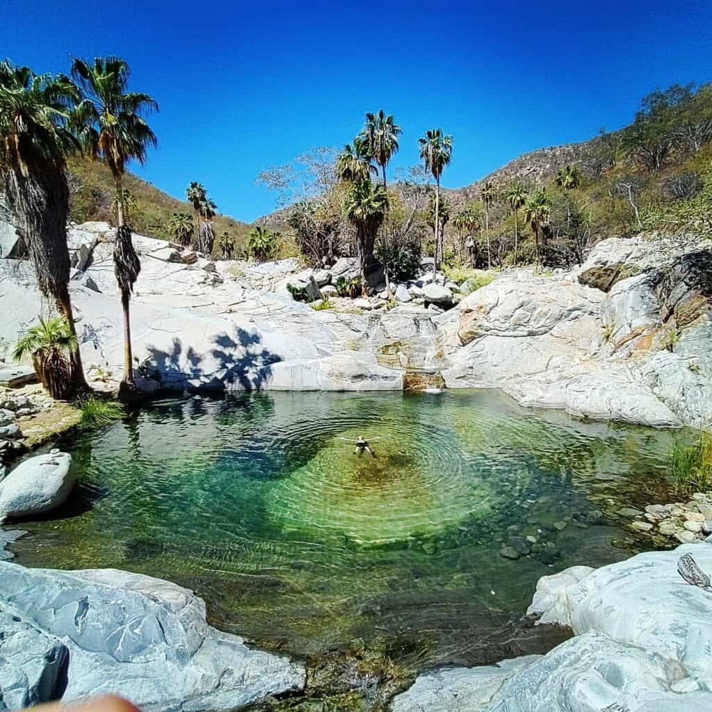 Clear pools among boulders and palms at the Santa Rita hot springs