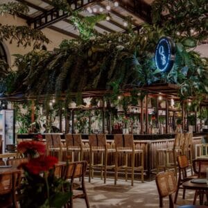 The bar at Oystera, with wooden stools, hanging ferns and the lit OB monogram above