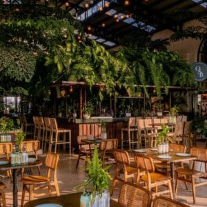 The dining room at Oystera, with rattan chairs, the central bar and ferns hanging under a glass-paned roof