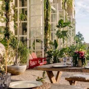 A wooden table set outside Oystera beside tall glass doors covered in vines, with red Adirondack chairs