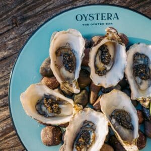Six oysters on the half shell over river stones on a turquoise Oystera plate