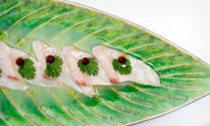 A tiradito of thinly sliced raw fish with cilantro leaves on a green leaf-shaped plate at The Woods Cabo